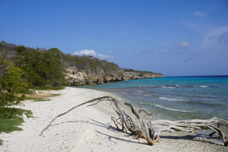 Rustig strand op Curaçao, passend bij pagina over Boekingsvoorwaarden Curaçao